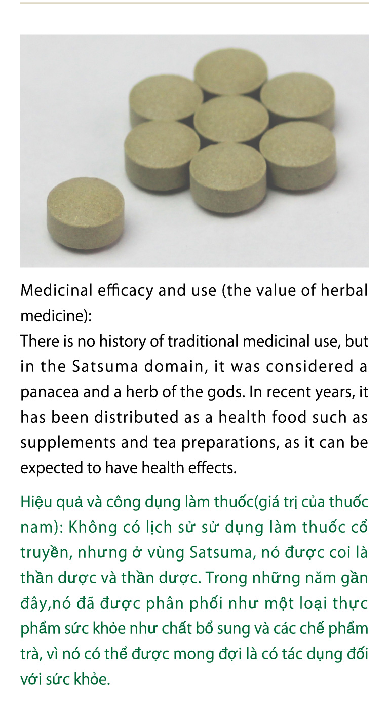 Medicinal efficacy and use (the value of herbal medicine):