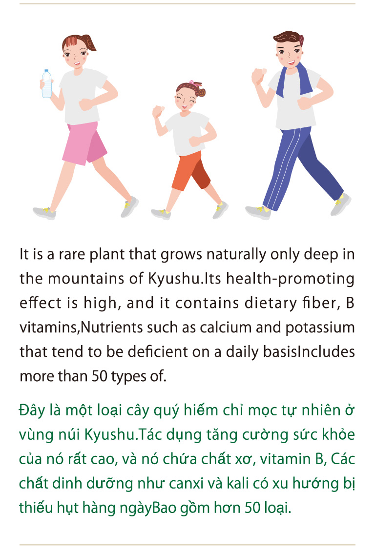 It is a rare plant that grows naturally only deep in the mountains of Kyushu.Its health-promoting effect is high, and it contains dietary fiber, B vitamins,Nutrients such as calcium and potassium that tend to be deficient on a daily basisIncludes more than 50 types of.