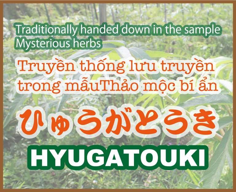 HYUGATOUKI