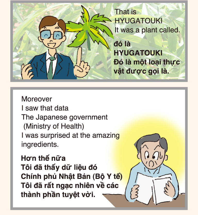 That is HYUGATOUKI It was a plant called.