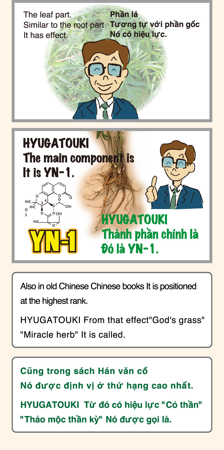 The leaf part.Similar to the root part It has effect.