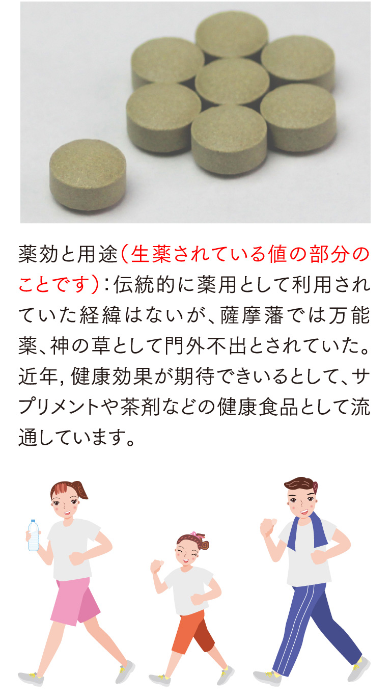 薬効と用途（生薬されている値の部分のことです）：伝統的に薬用として利用されていた経緯はないが、薩摩藩では万能薬、神の草として門外不出とされていた。