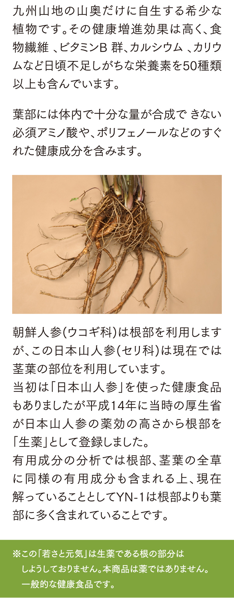 九州山地の山奥だけに自生する希少な植物です。