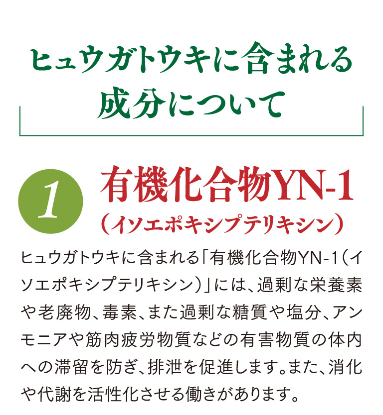 ヒュウガトウキに含まれる成分について