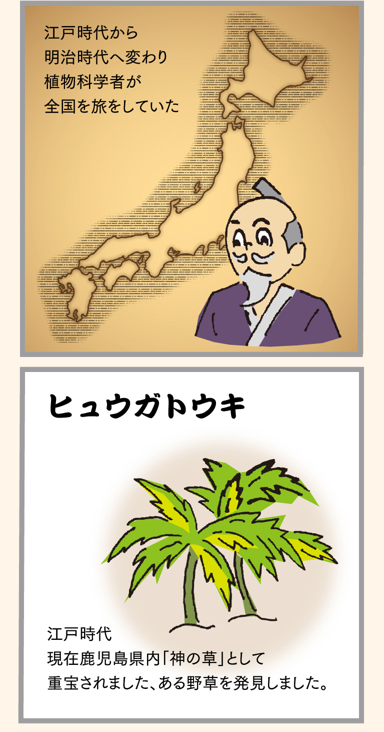 江戸時代から明治時代へ変わり植物科学者が全国を旅をしていた