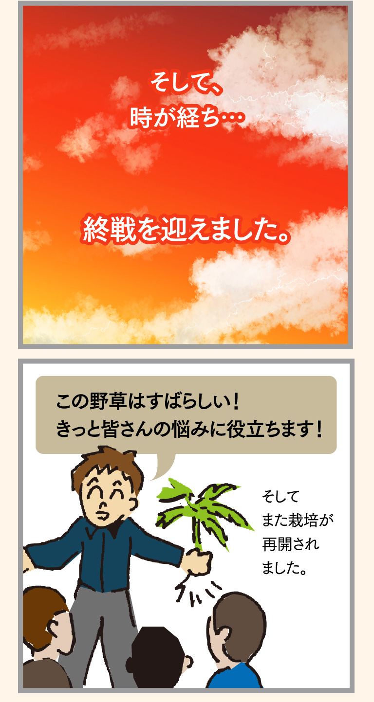 そして、時が経ち…終戦を迎えました。