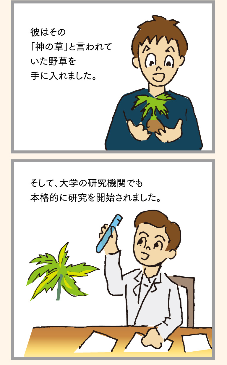 彼はその「神の草」と言われていた野草を手に入れました。