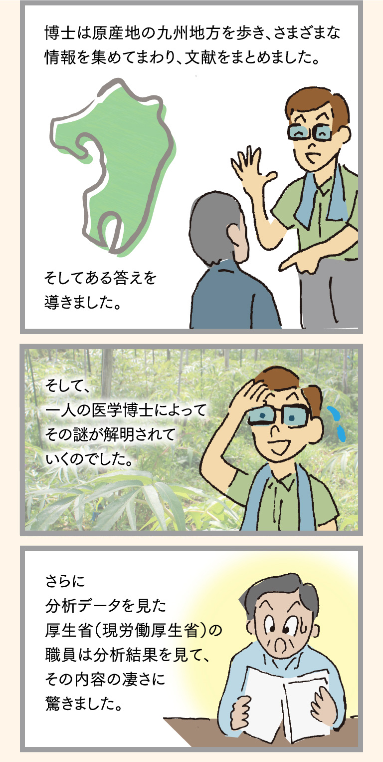 博士は原産地の九州地方を歩き、さまざまな情報を集めてまわり、文献をまとめました。